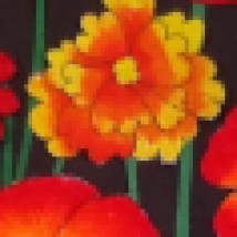 cropped-poppies-flower-details2.jpg