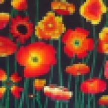 ANZAC Rememberance poppy art lesson