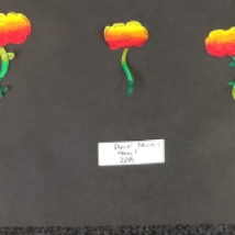 ANZAC Rememberance poppy art lesson